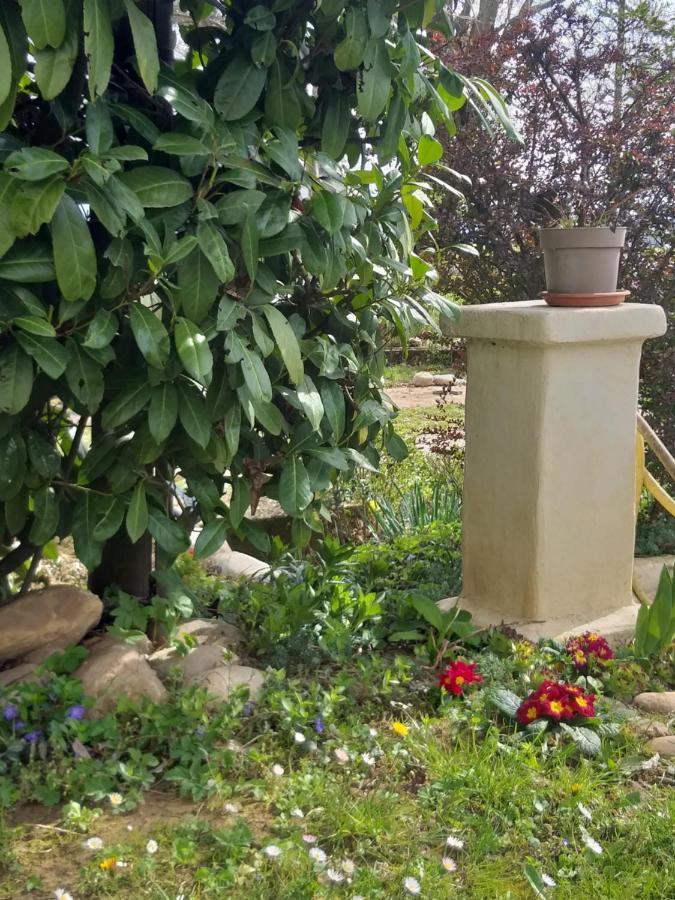 Villa Amai Lequio Tanaro Esterno foto