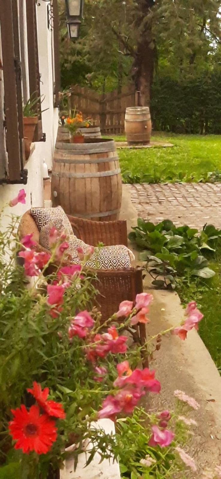 Villa Amai Lequio Tanaro Esterno foto